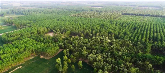 微信图片777_副本