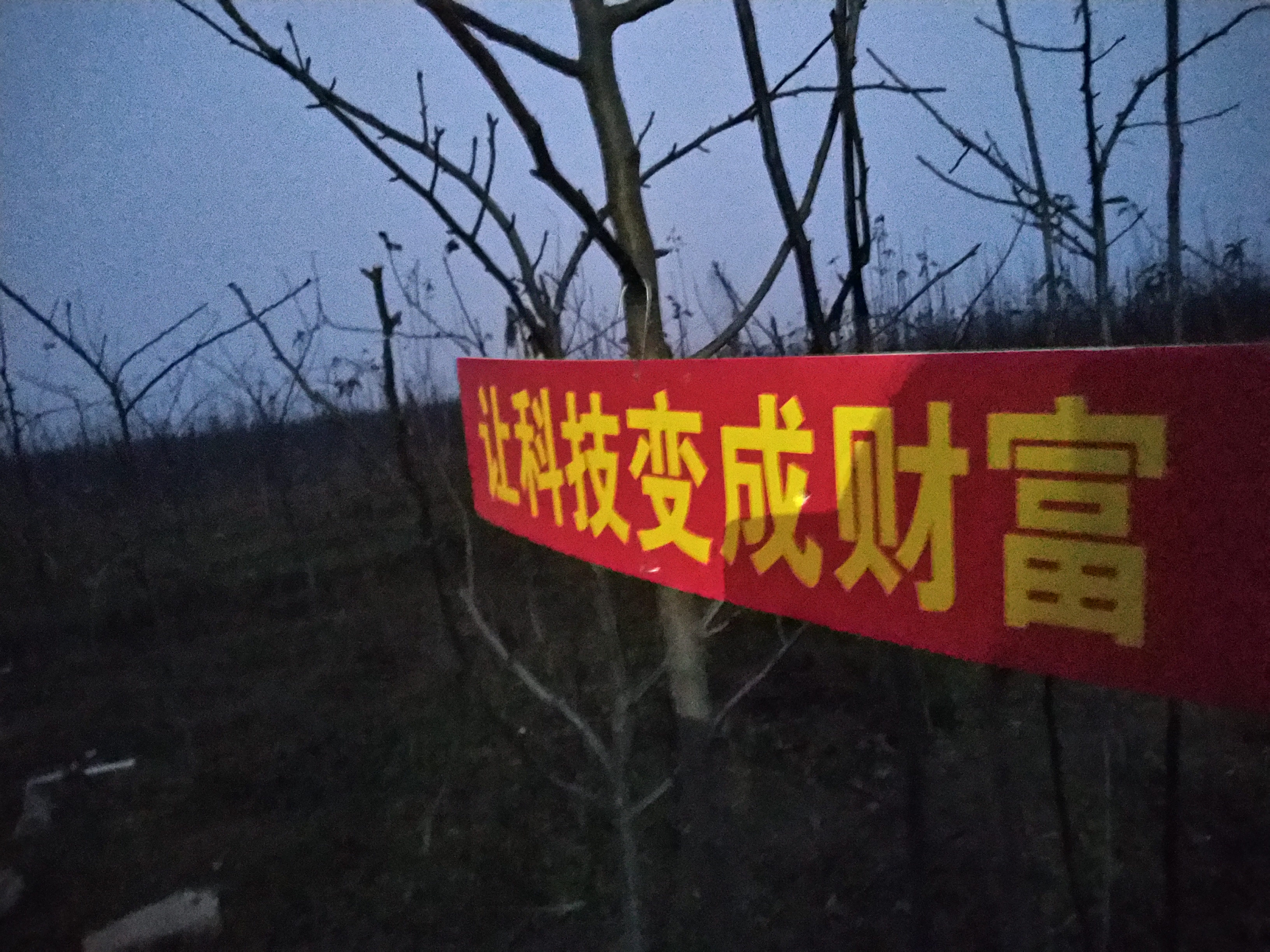 郏县县城人口有多少_平顶山郏县县城地图(3)