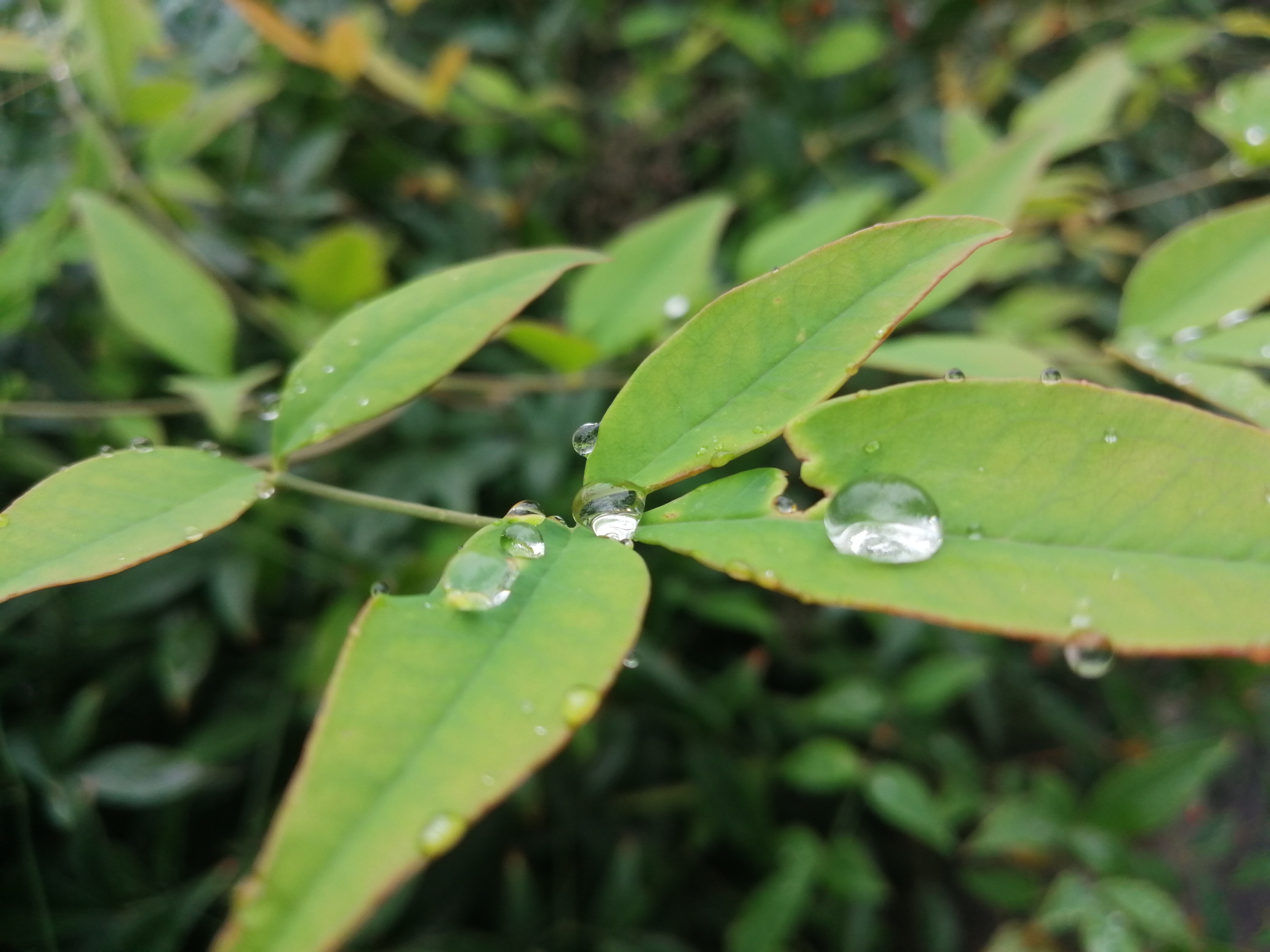 |河南明天起气温逐渐回升至20℃以上? 日最低气温同时要跌到10℃以下了