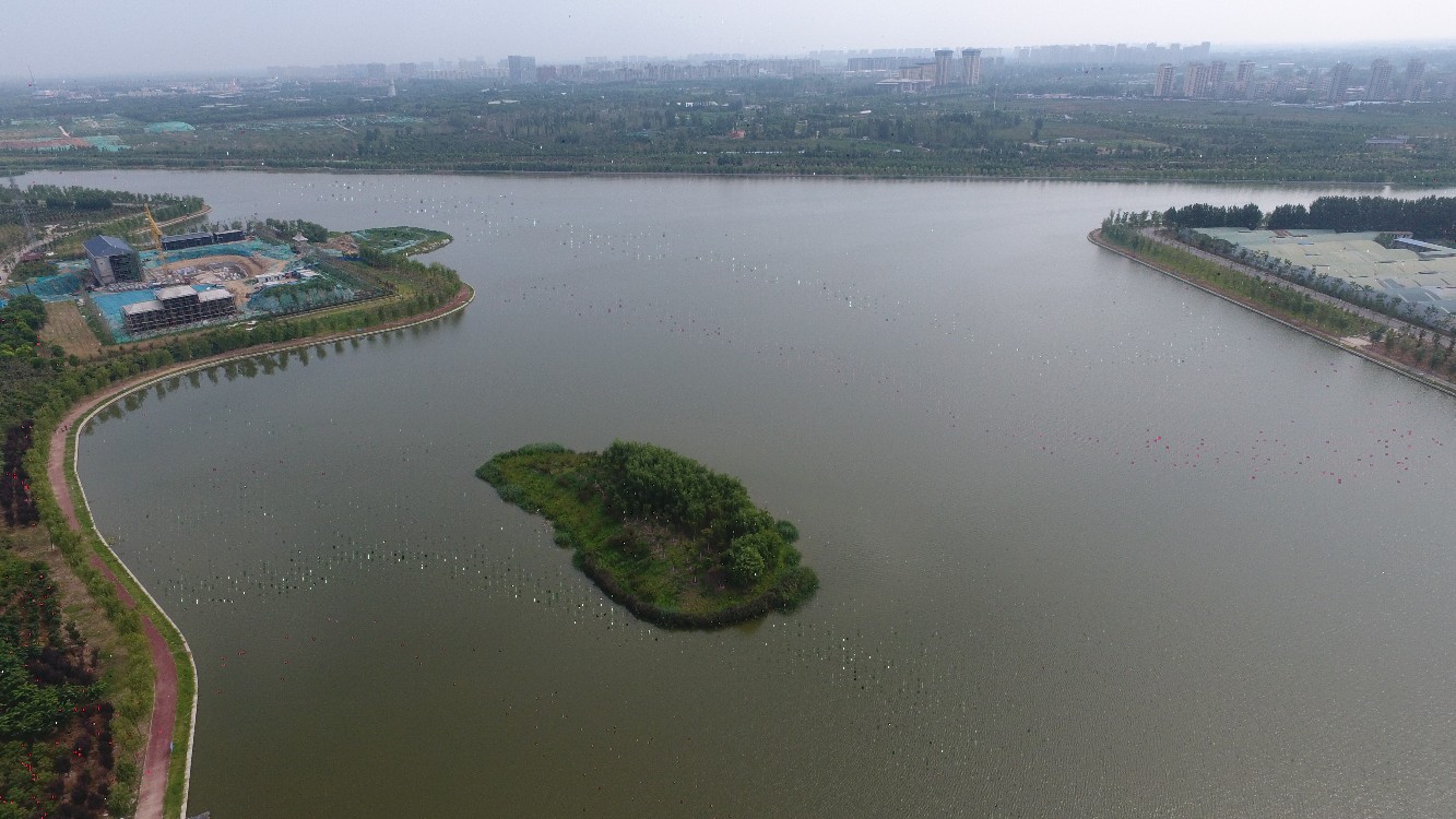 贾鲁河|贾鲁河全线禁止钓鱼? 已划定9个垂钓区域