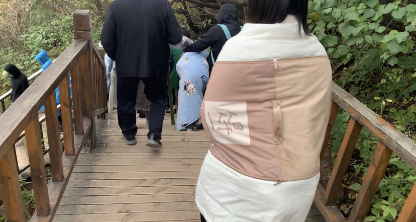 |下冰雹！河南这个地方“一秒入冬”，游客用棉衣怀揣宠物狗