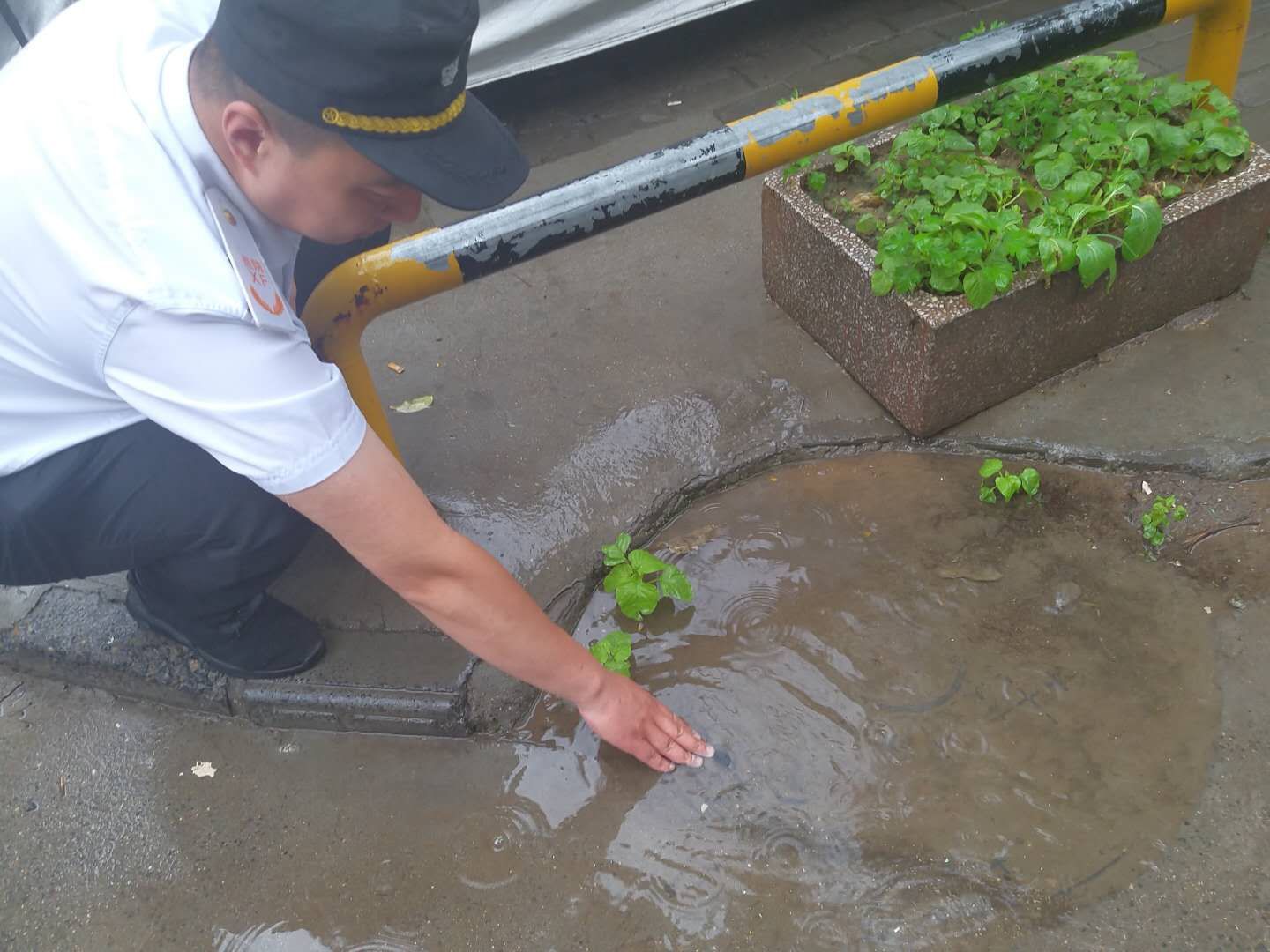 下水道平时将垃圾扔进下水道，大雨致小区和道路积水严重