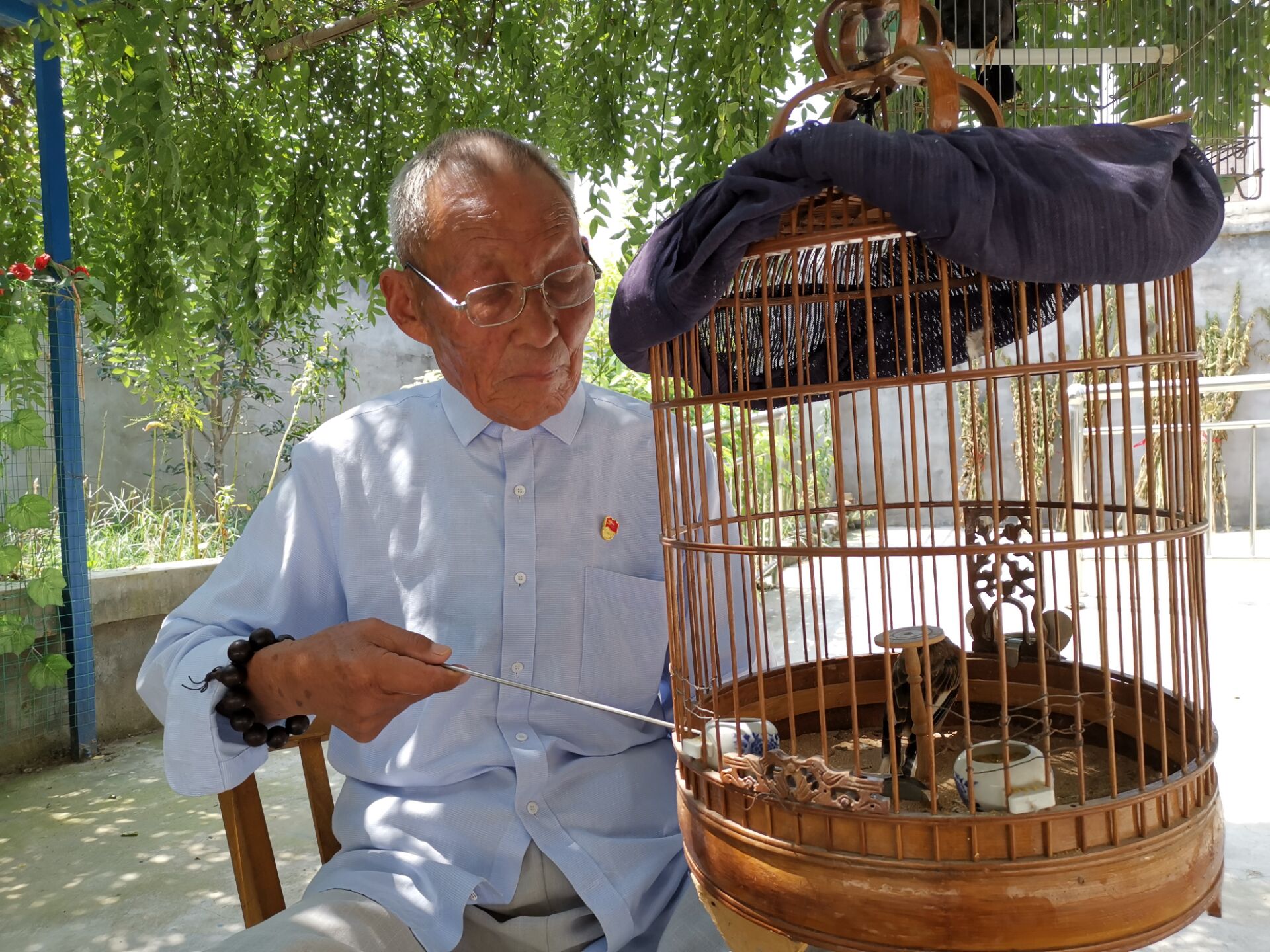 抗日战争|放下机枪扛锄头 老兵当起村支书 89岁抗战老兵退伍不褪色