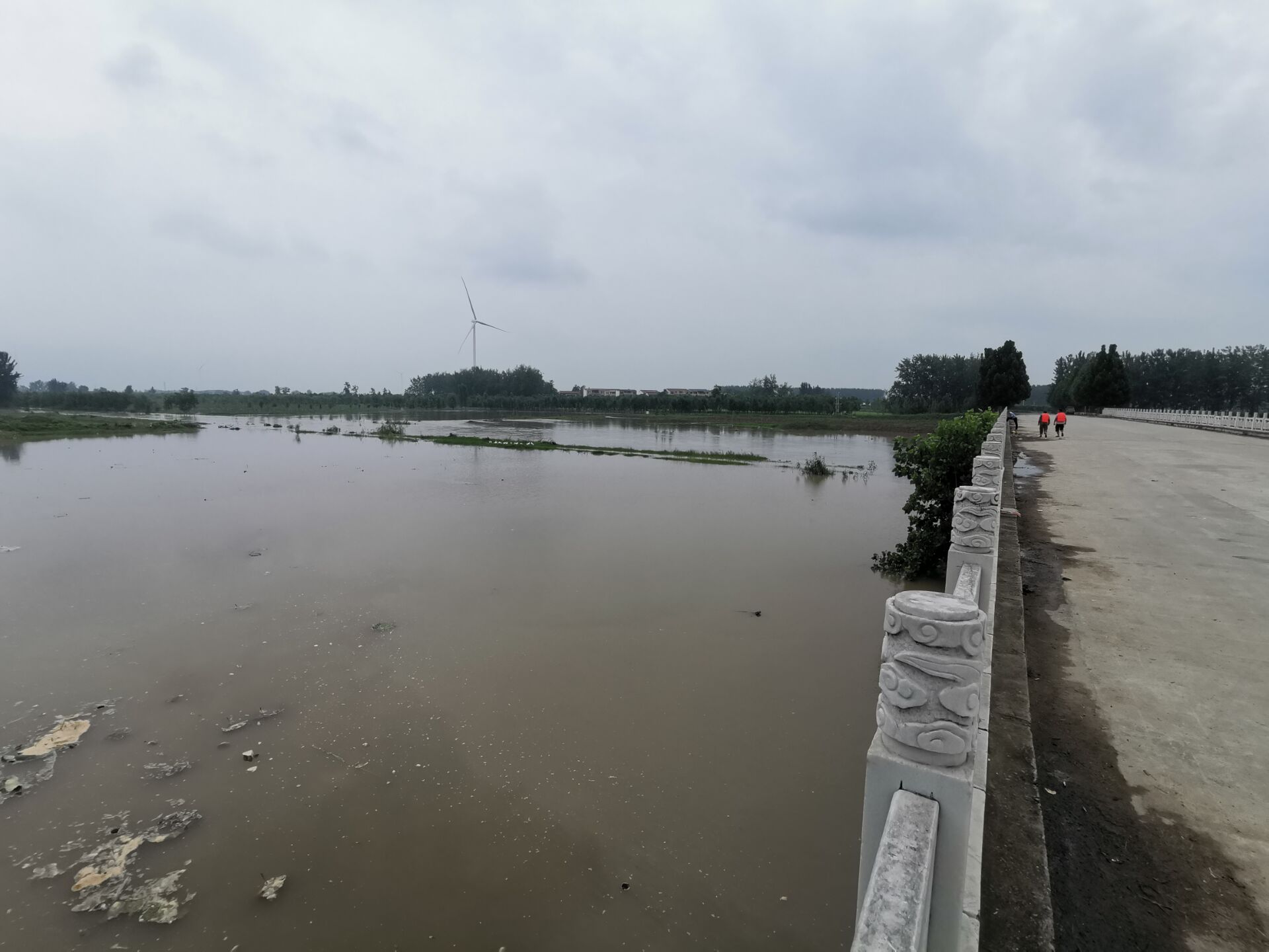 7月23日中午12时30分,记者在贾鲁河周口市西华县红花镇杜岗村大桥看到