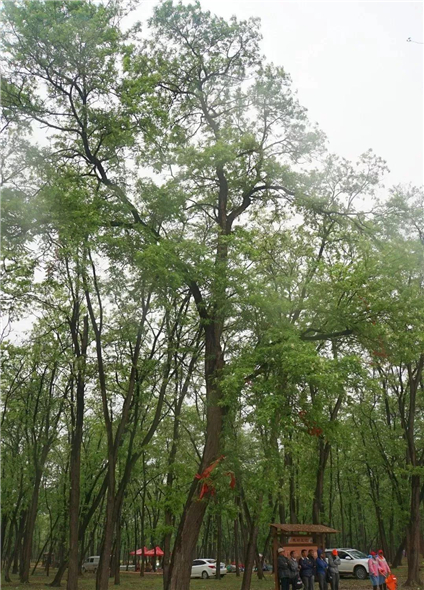 微信图片_666_副本1