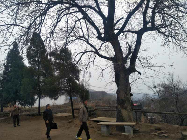 微信图片_20180321112341