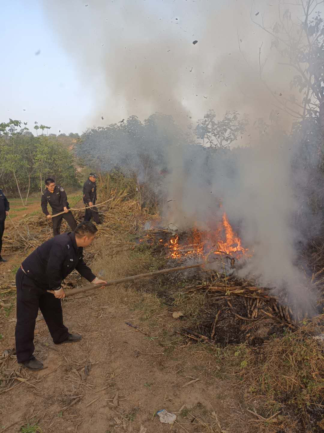 |处警途中发现田间起火，热心民辅警奋力扑救