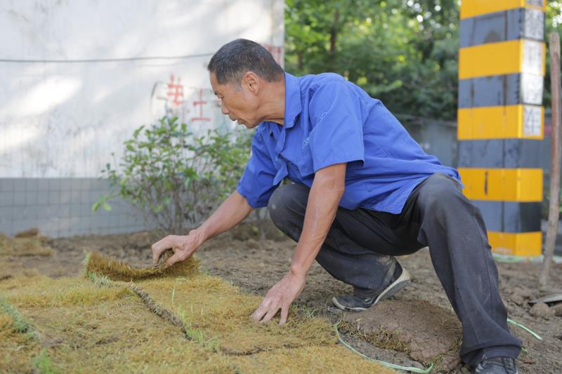 平煤股份八矿旧貌换新颜市政暖心工程打造生态美丽新矿区
