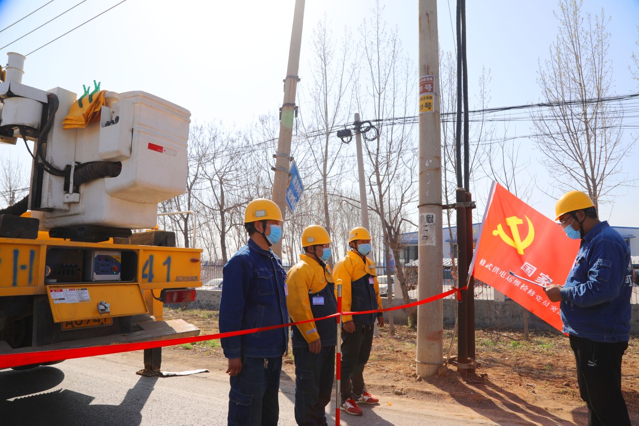 『供电公司』鸟妈供电线上筑巢下蛋？这家供电公司这样办