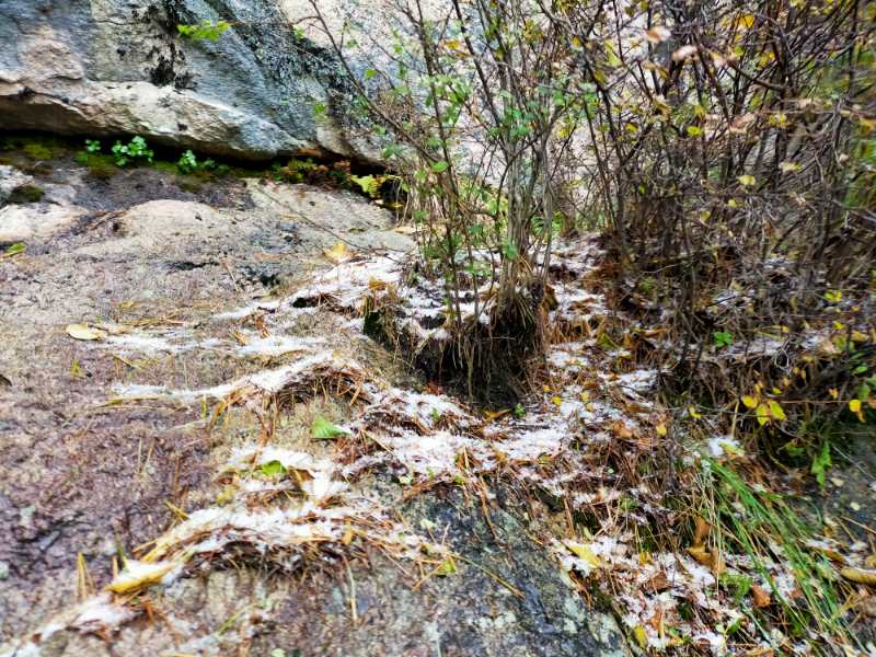 |今天太冷了我省西部山区竟然下雪了? 气温、海拔、水汽条件是原因