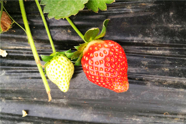 微信图片_20180220103148_副本