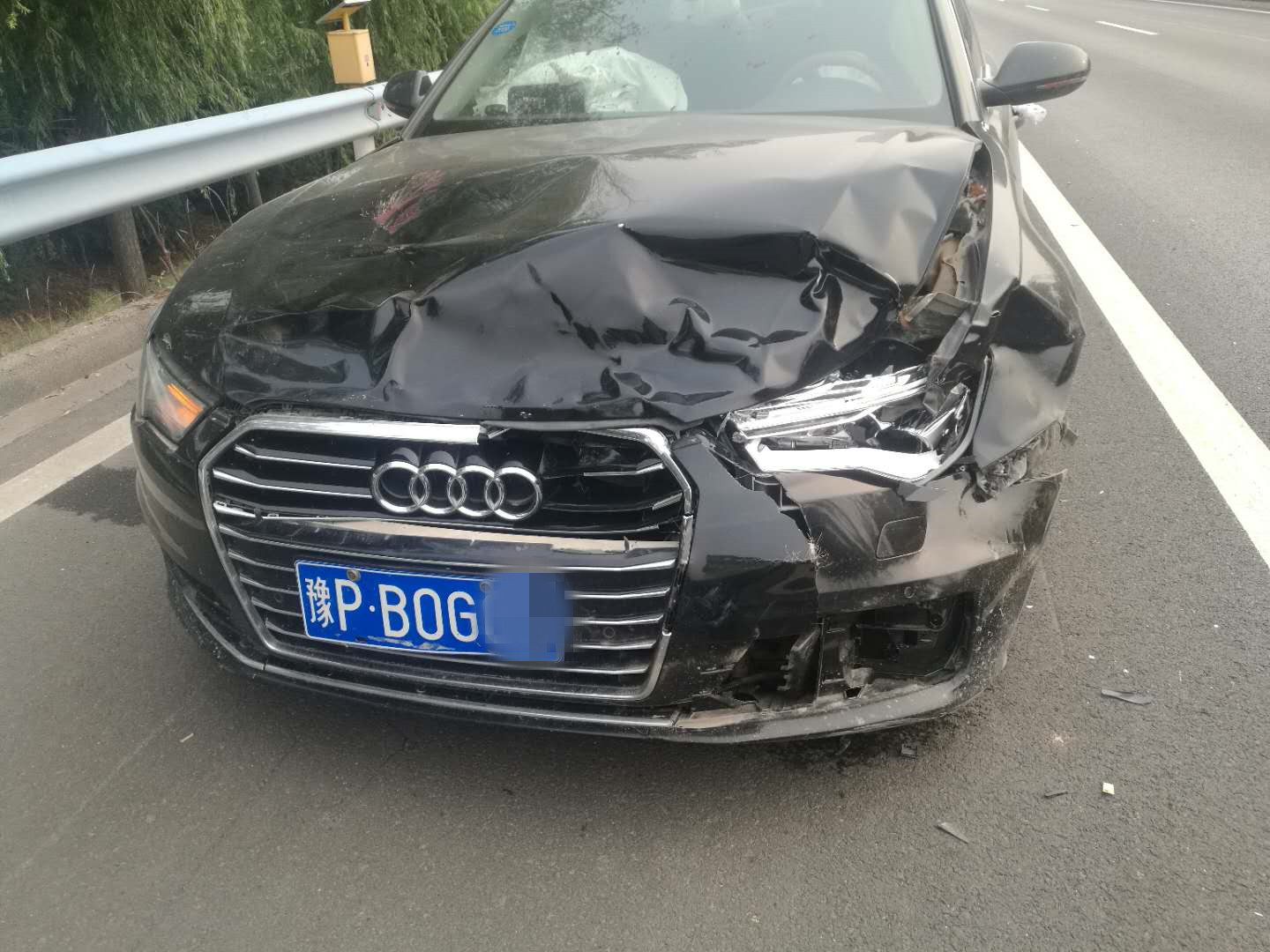 事发开封高速梅花鹿撞上奥迪事故车车损严重车头凹陷