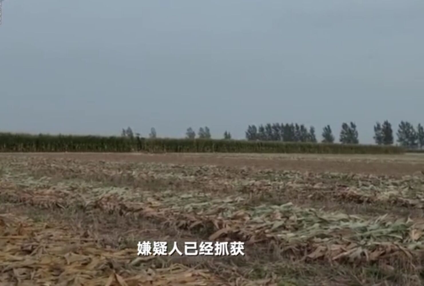 鹿邑|鹿邑两男童被父亲扔井中身亡