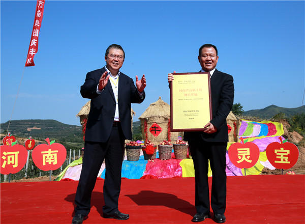 灵宝:喜迎苹果采摘季 欢庆农民丰收节