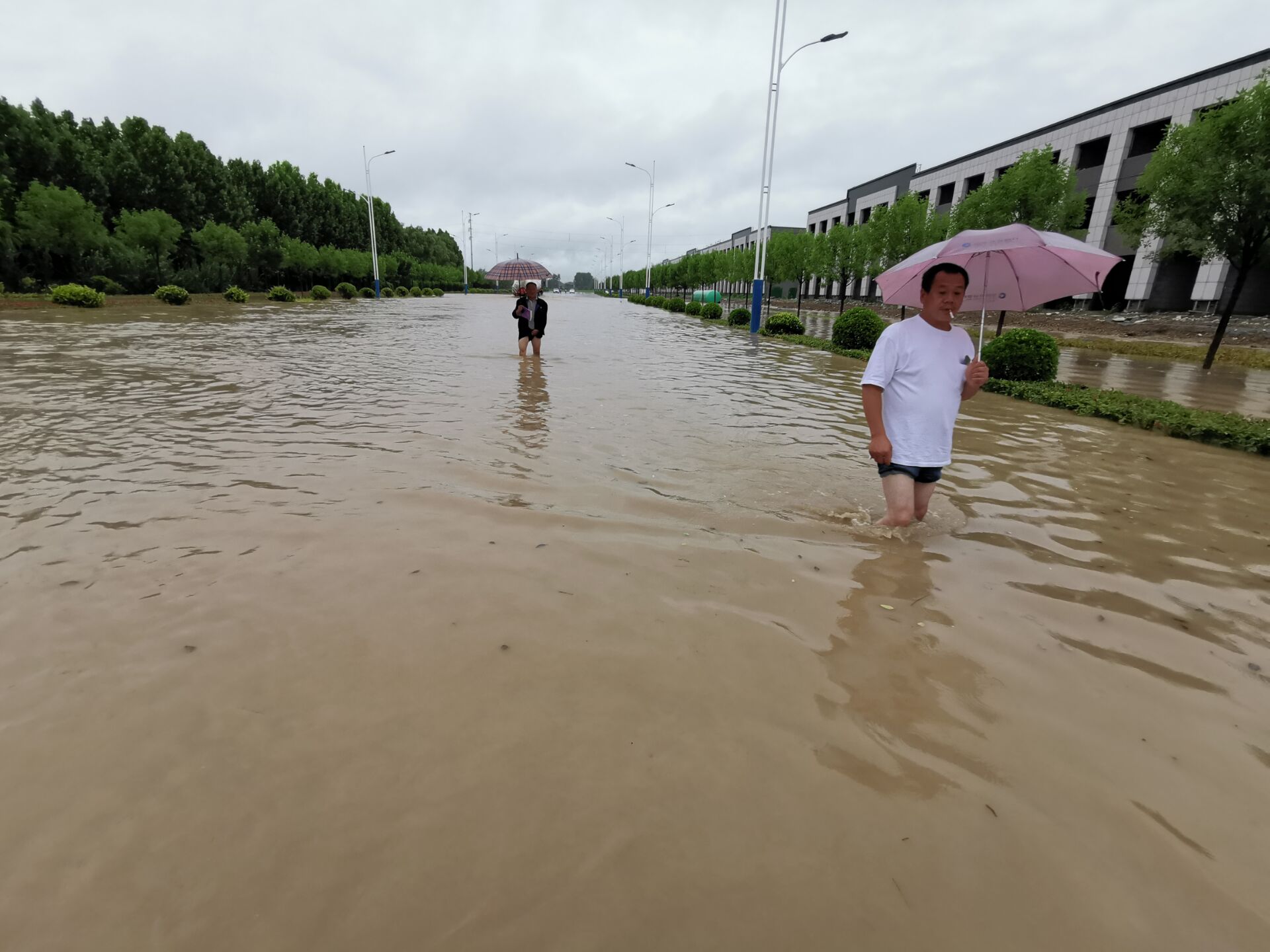 暴雨之下周口积水路段冰火两重天