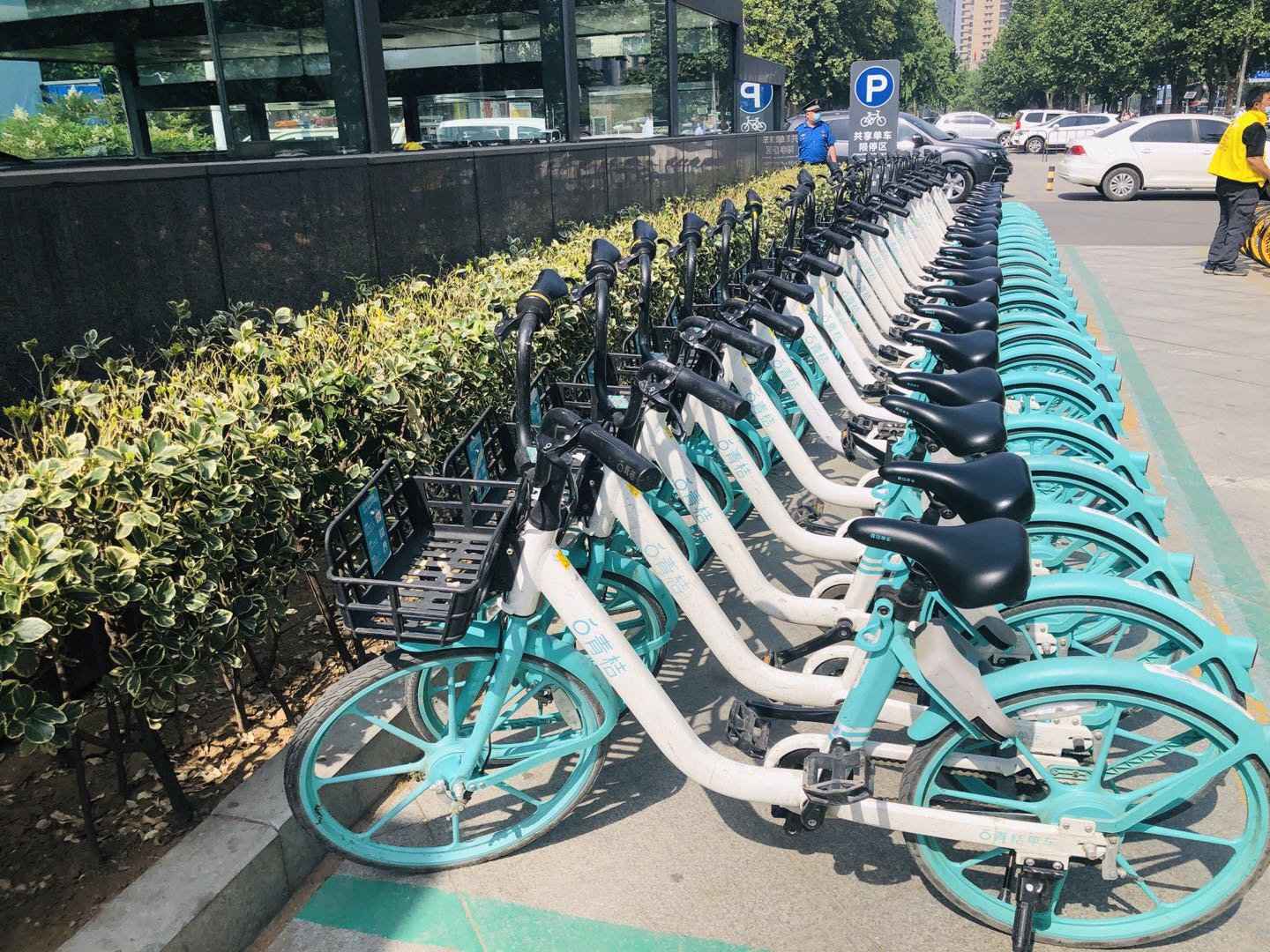 |郑州共享单车第三季度考核：削减哈啰单车3000辆市场份额