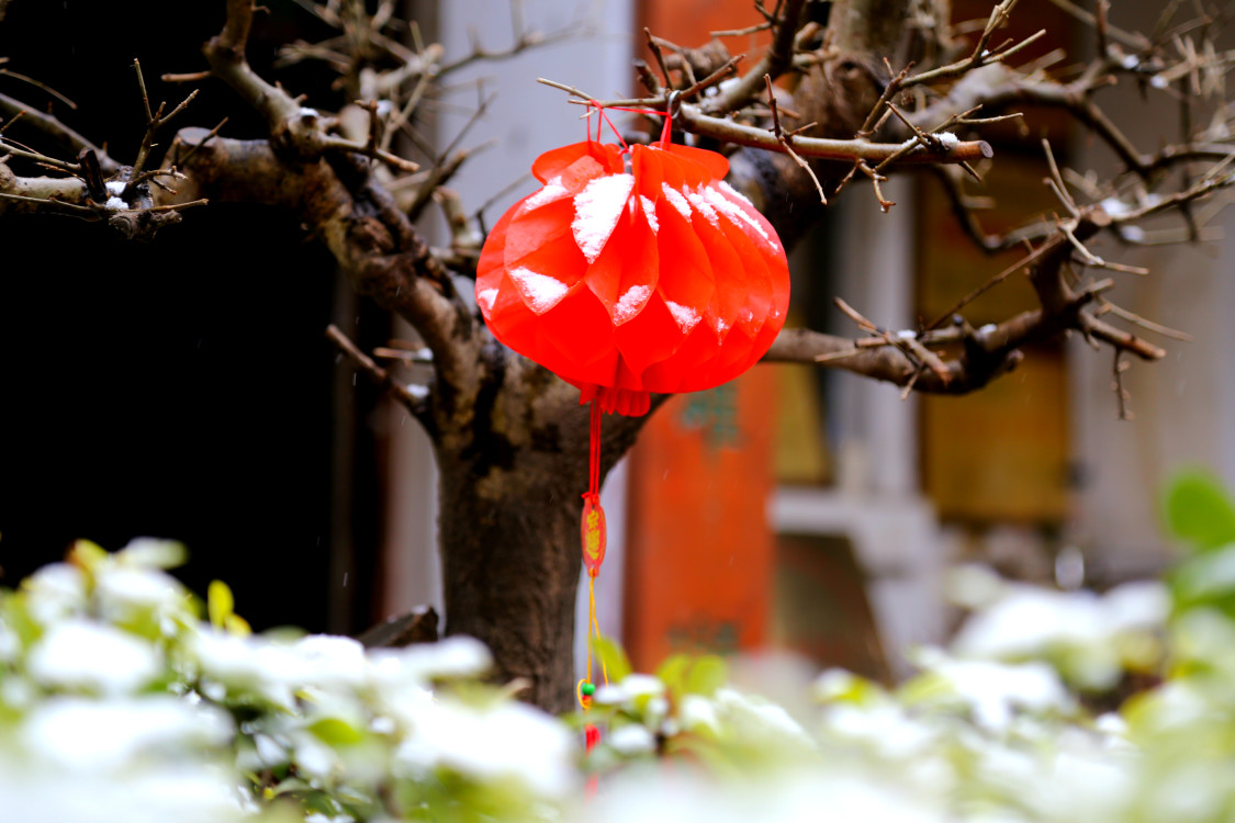 正月十五雪打灯雪中灯笼更添景