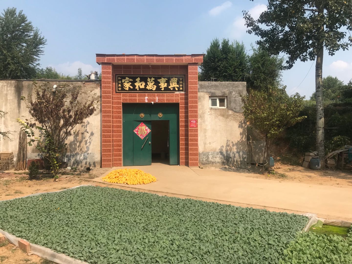 微信图片_20180912001252