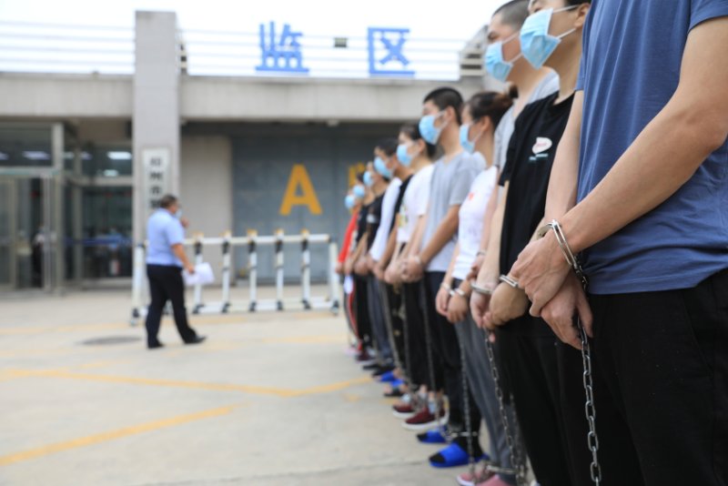 网络赌博|已有77人落网！郑州一女出纳自杀牵出跨境网络赌博大案！