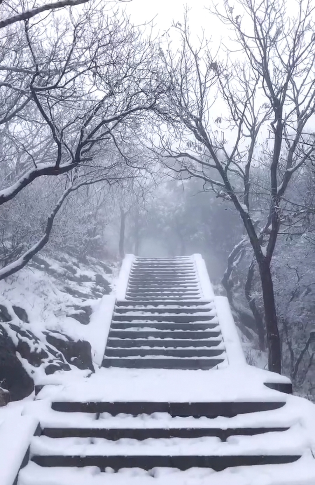 海拔1492米的大雪!嵩山峻极峰顶雪景有多美?