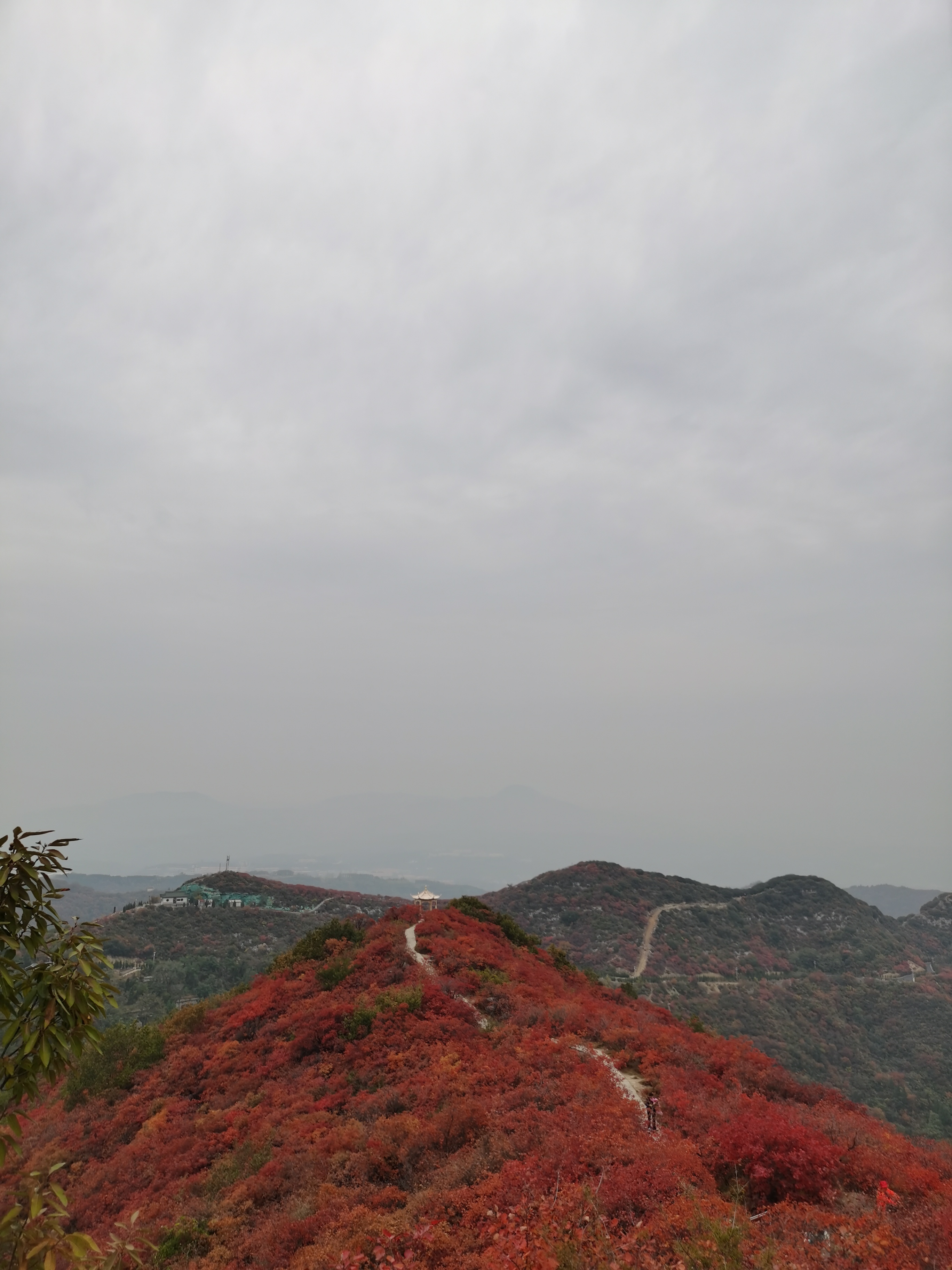 河南哪里的红叶最亮眼？ 红叶打卡地图新鲜“出炉”了