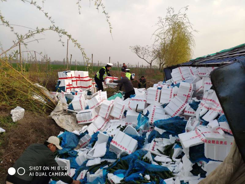 『法制』高速路上车翻黄瓜撒 路警联合助力暖民心