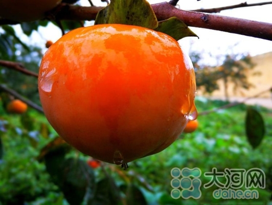 889c3efecdf1495d82e3d496170762f6_副本