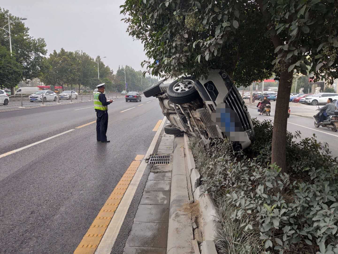 |这辆汽车是想躺花坛“睡觉”？