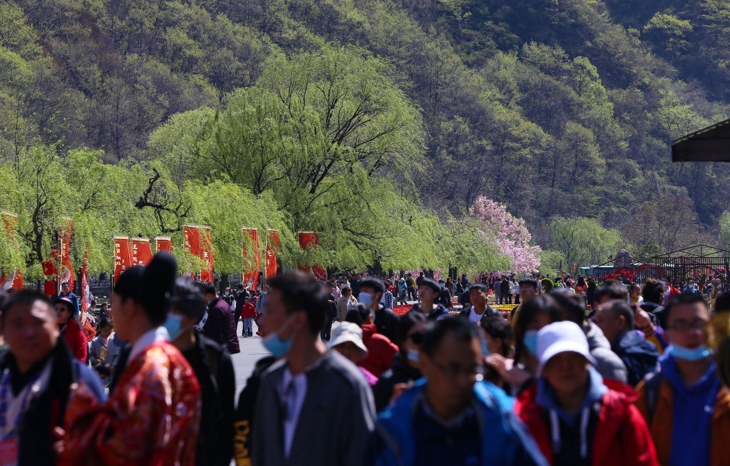 清明3天，13万游客！第三届中国云台山汉服花朝节完美落幕-大河新闻