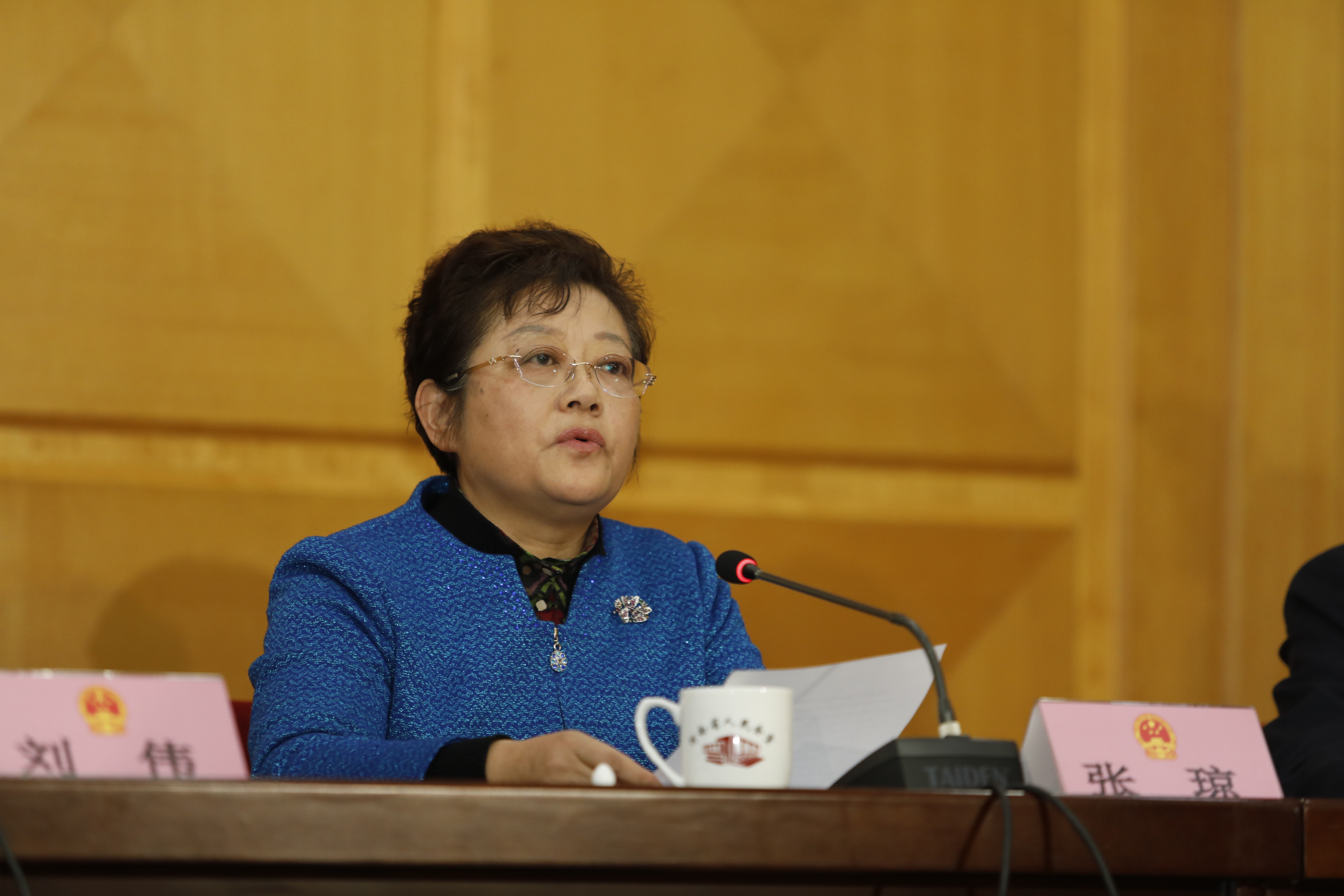 河南省交通运输厅厅长张琼力争3至5年将河南打造成多式联运国际性物流