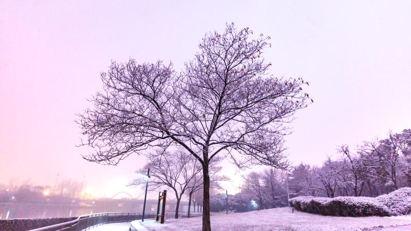 自然降水+人工增雨 河南首场降雪最大降雪量现登封10.4毫米