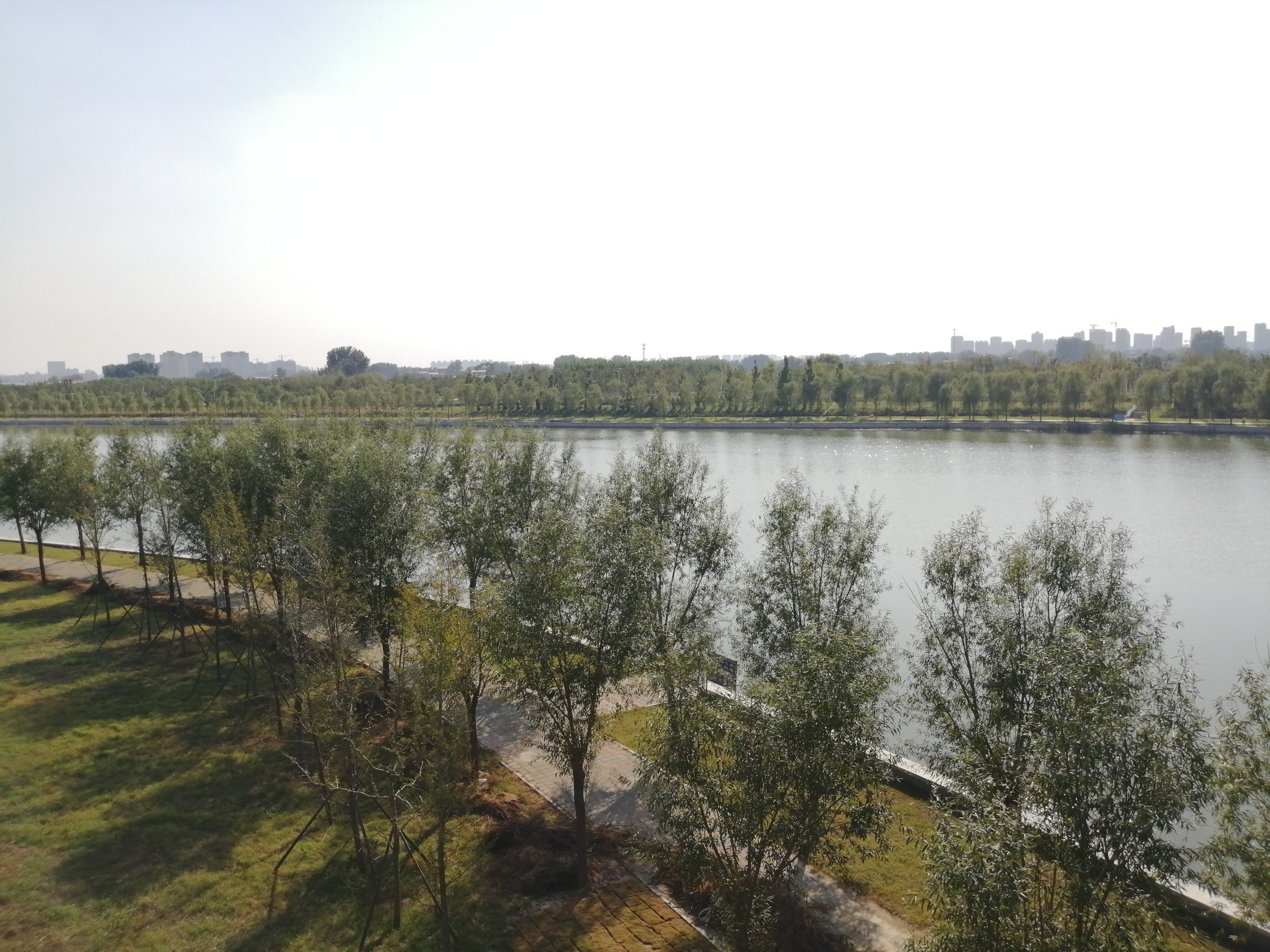 森林公园|郑州开封之间要建万亩森林公园？有山、有水、有森林