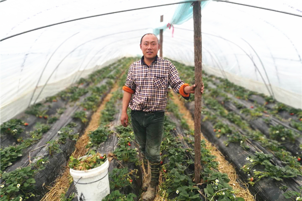 微信图片_20180220101813_副本