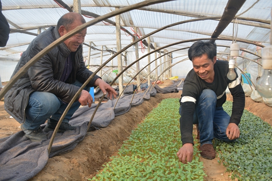 QQ图片20180223172704