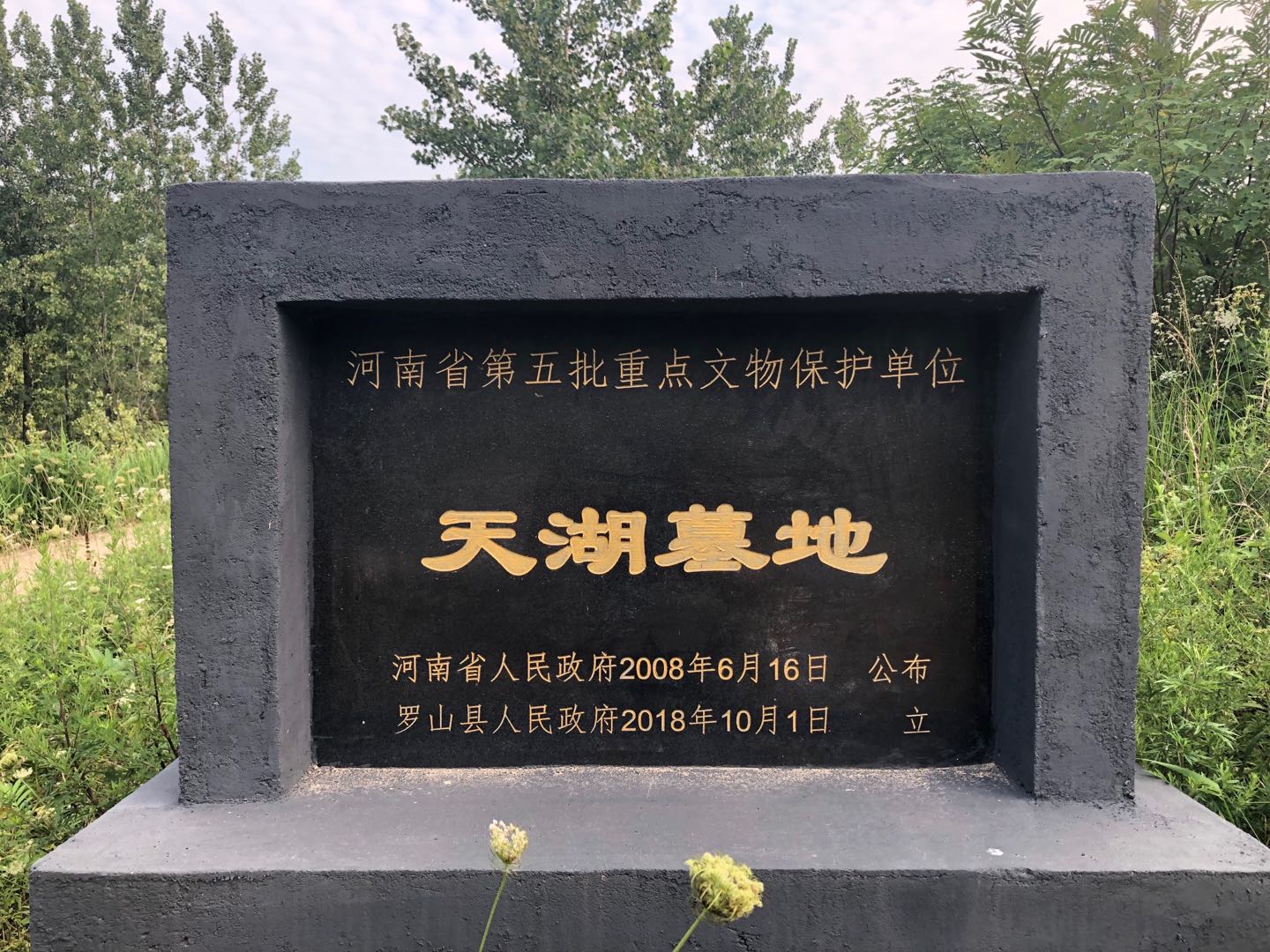 曾出土世界已知最古老的酒信阳天湖墓地跻身全国重点文物保护单位行列