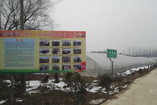 QQ图片20180117214025_副本