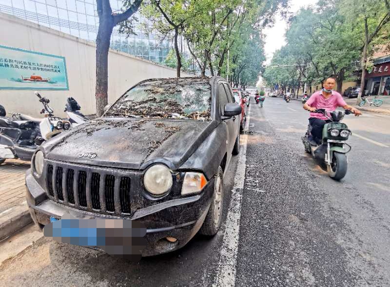 僵尸车|郑州一路边的“僵尸车”何时清走？