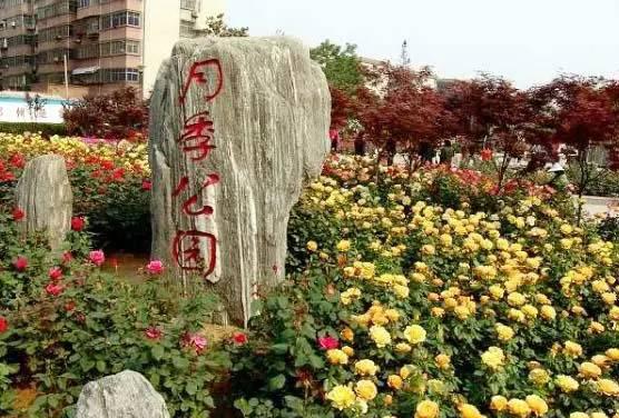 刘昊然|跟随刘昊然的脚步在郑州真的能找到百花里小巷?