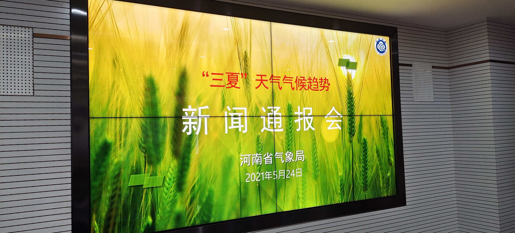 河南“三夏”期间需关注局部干旱、干热风和强对流天气