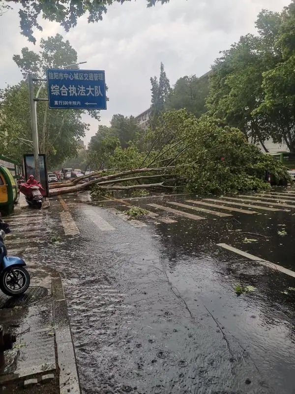 河南春夏交替强对流天气活跃 这些安全事项你得注意！
