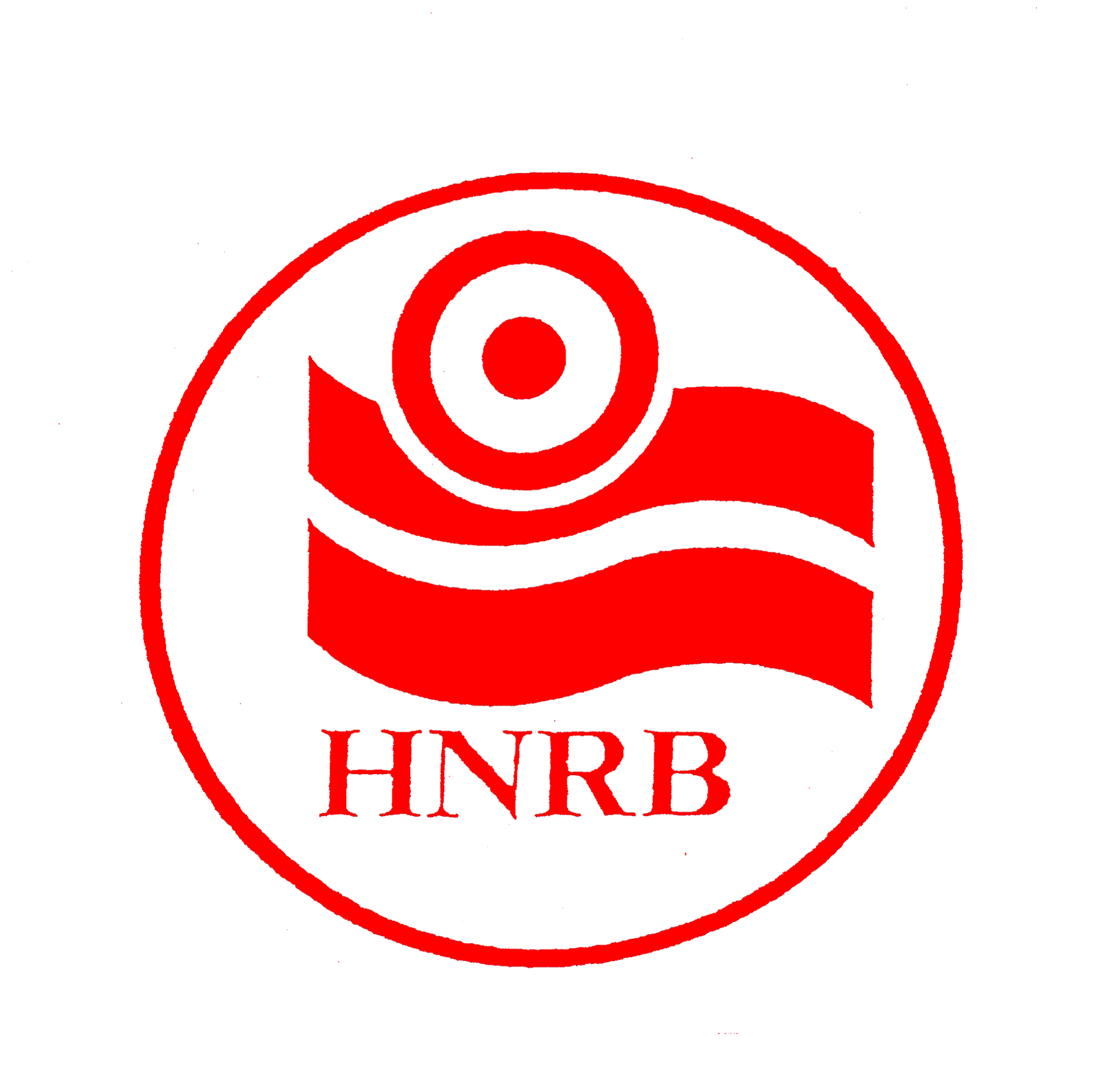 noresize_河南日报报业集团logo