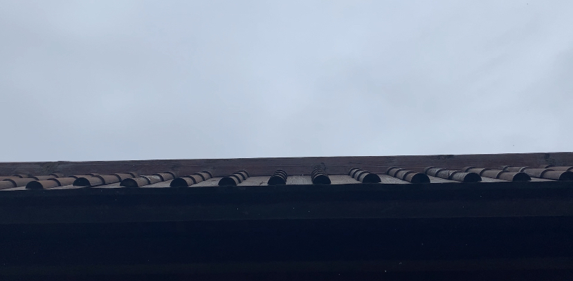 |下冰雹！河南这个地方“一秒入冬”，游客用棉衣怀揣宠物狗