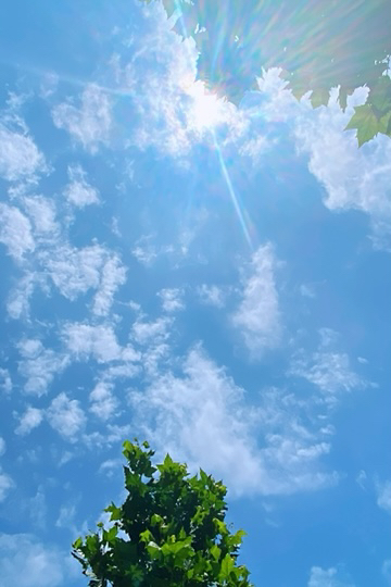 |航拍淮河蒙洼蓄洪区，晴空下的“心形”村镇