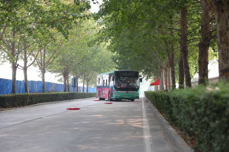 交通|“双城”团圆不是事儿 一辆巴士可穿城