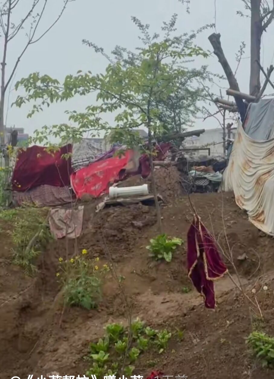 周口独居老人住处遭孩子砸毁？真相来了，“剧情”反转！