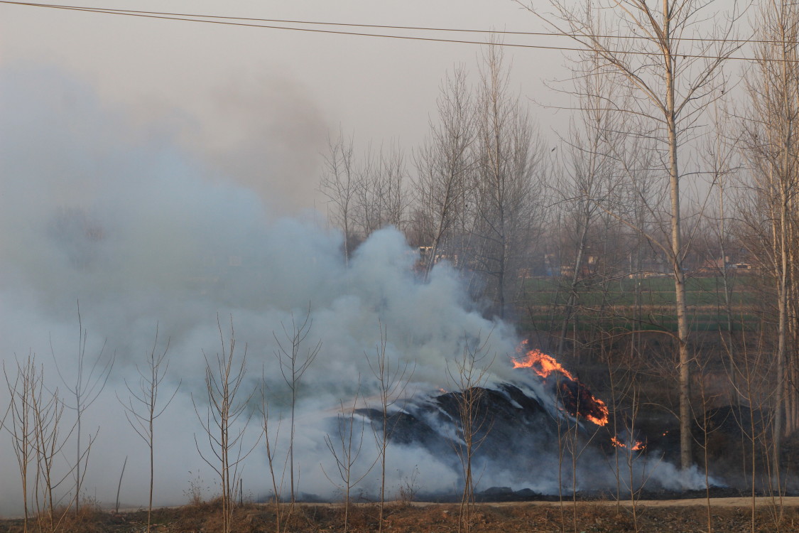 永登高速鹿邑段突起大雾原来路边起火冒烟