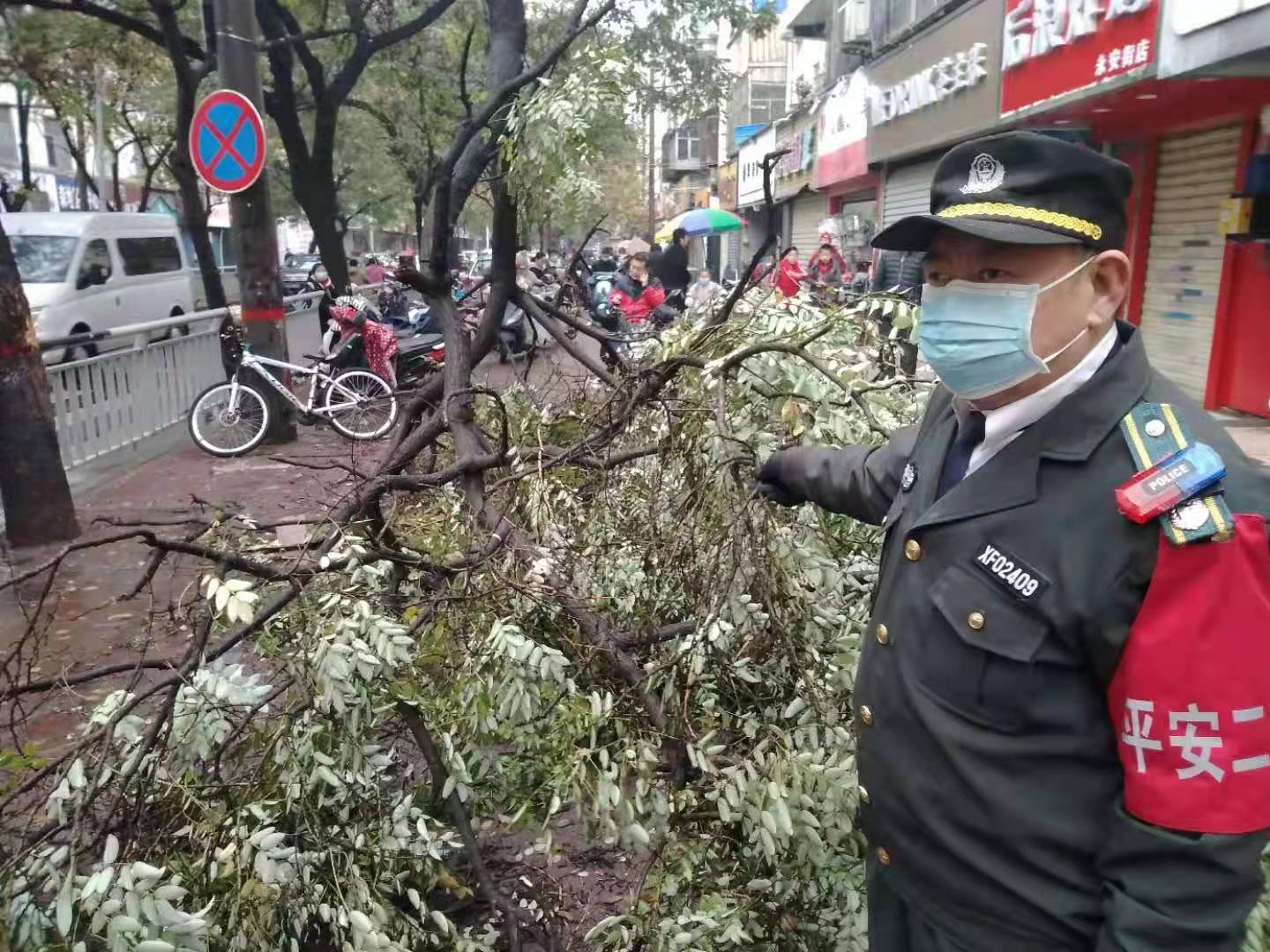 连日降雨大树树枝断裂成“拦路虎” ？安全起见，附近学生市民纷纷绕行-大河网