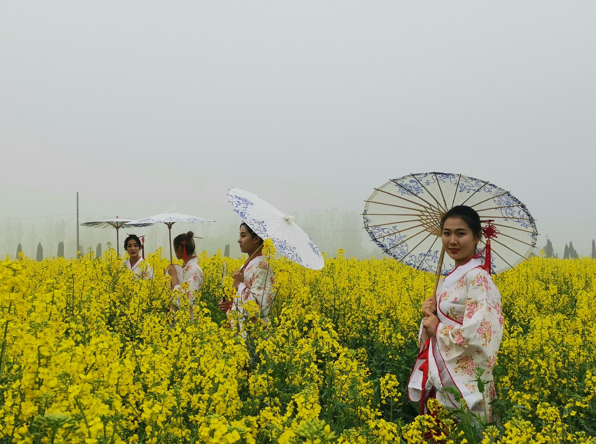 三农■宝丰：万亩油菜花飘香 金色花海迎客来