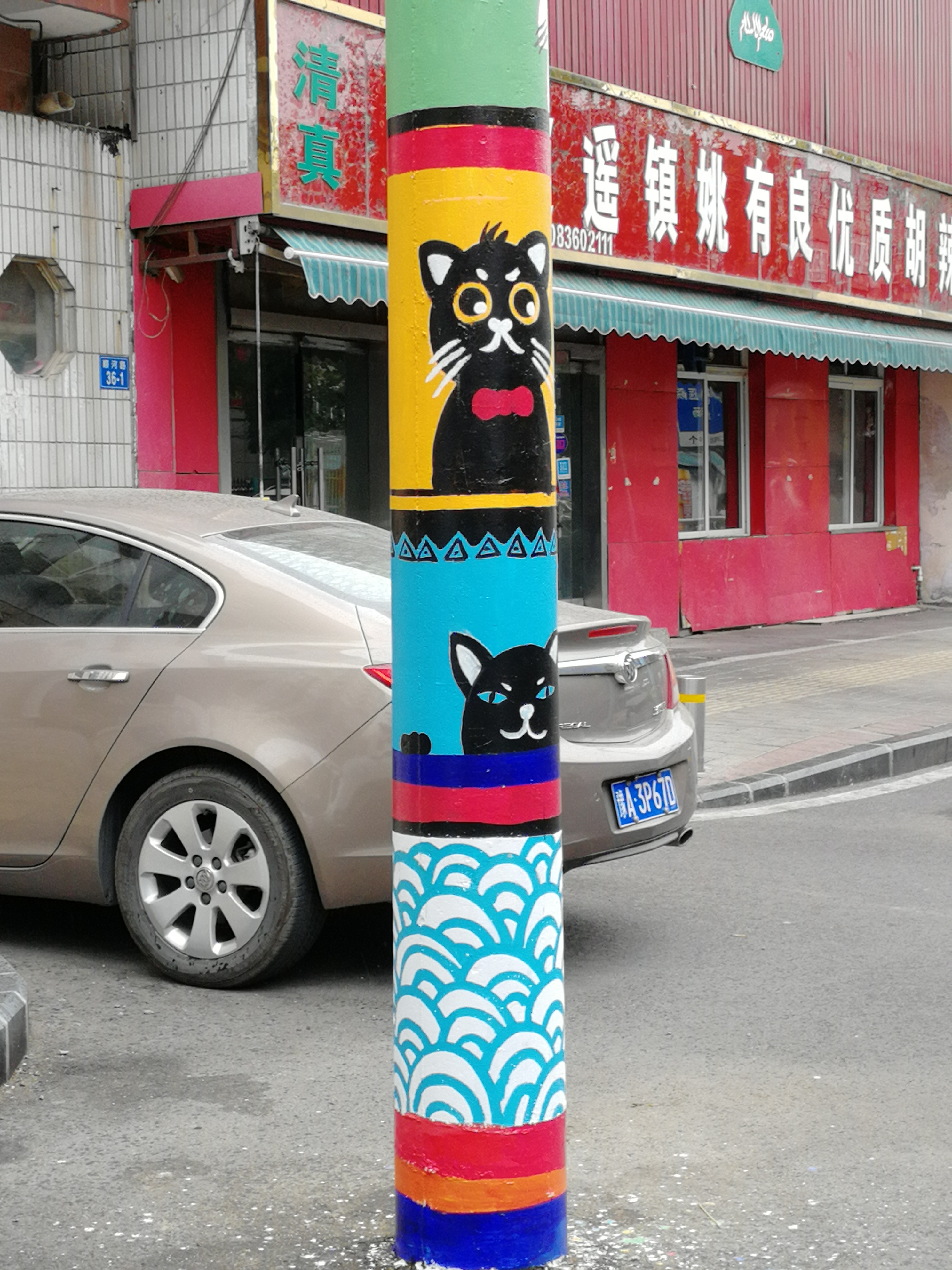 萌化了!郑州小巷中加菲猫,长颈鹿"爬"上电线杆