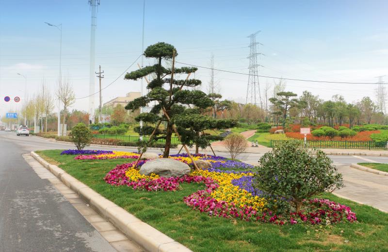 建设总面积为约八万平方米,包含中分带,侧分带绿化景观建设及提升和